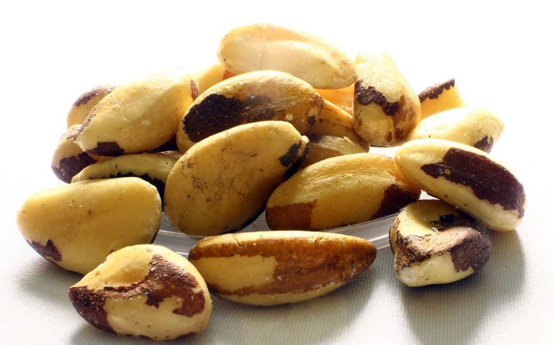 4 Brazil Nuts & Cholesterol