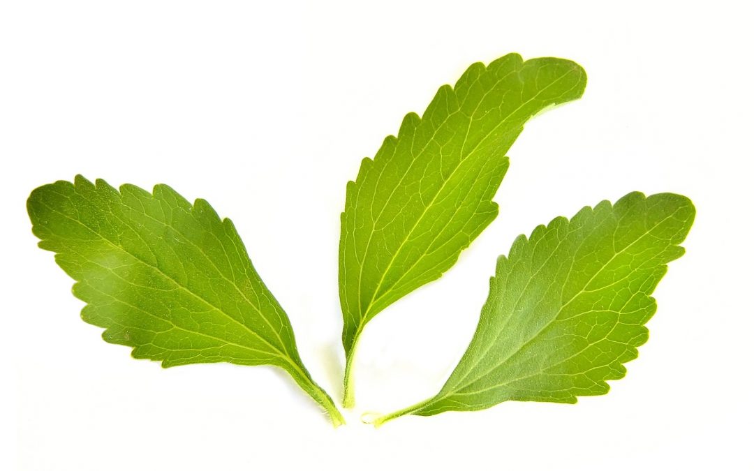 Stevia