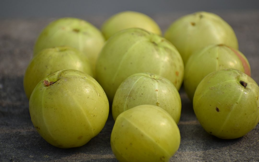 Amla – Ayurvedic Superfruit